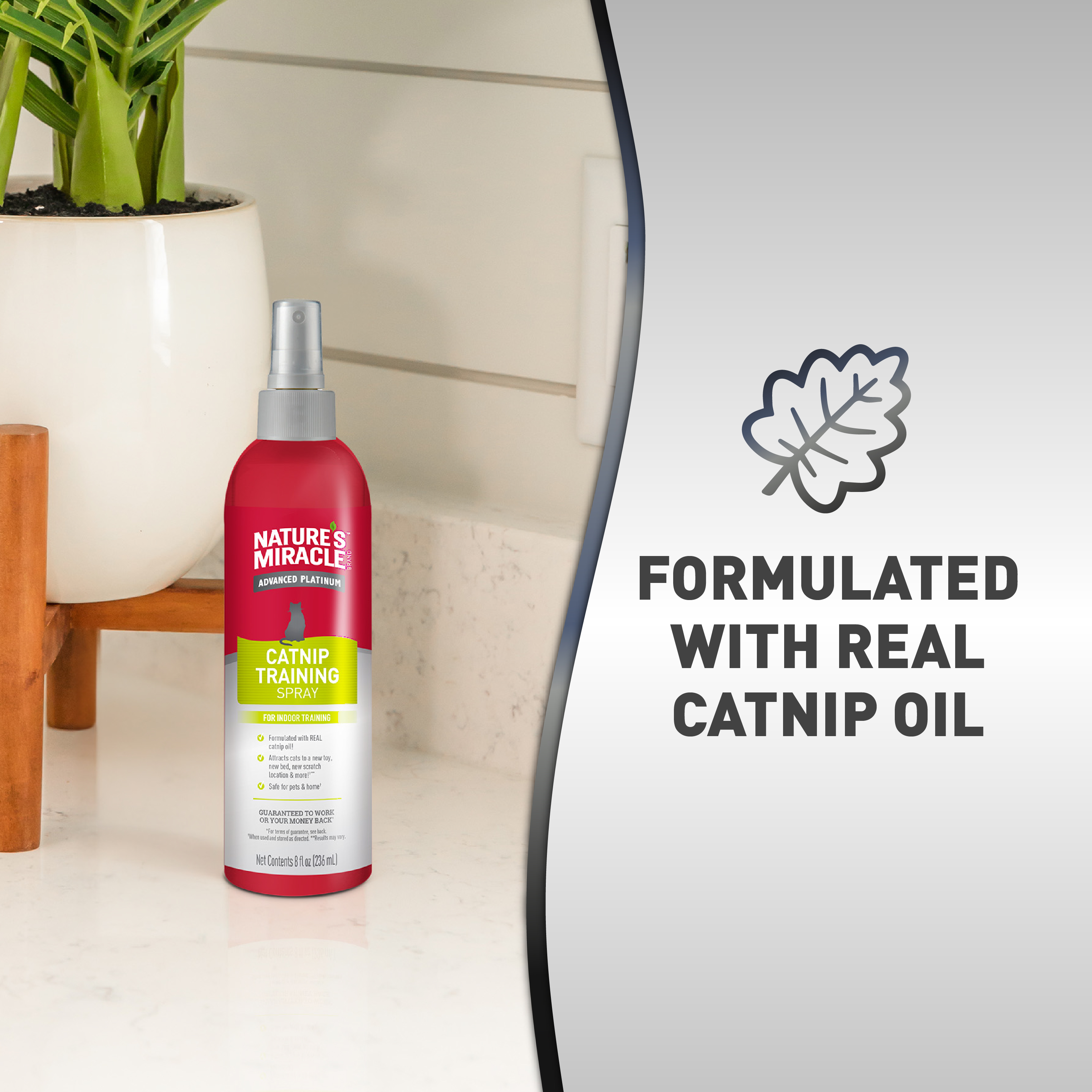 Catnip oil spray 2025
